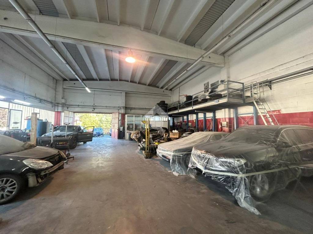 immagine annuncio 5 di 15