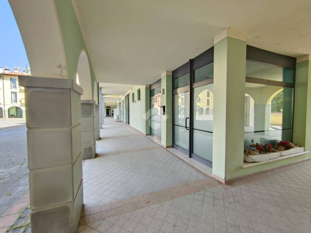 immagine annuncio 2 di 8