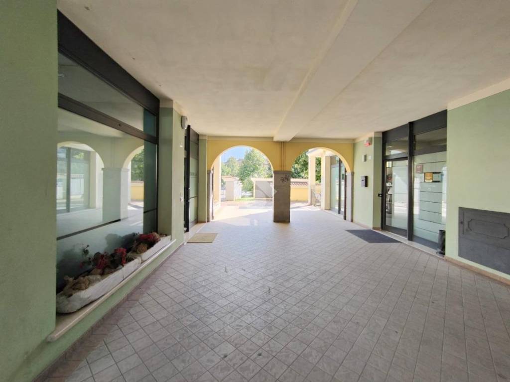 immagine annuncio 4 di 8