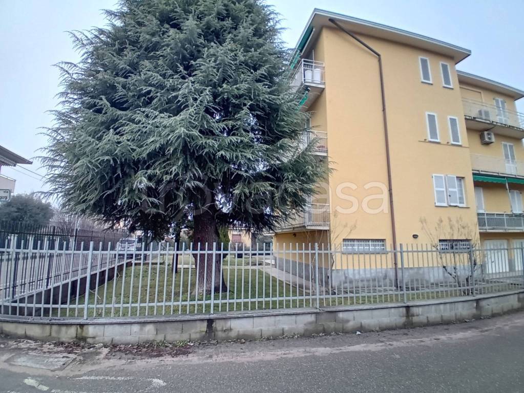 immagine annuncio 1 di 14