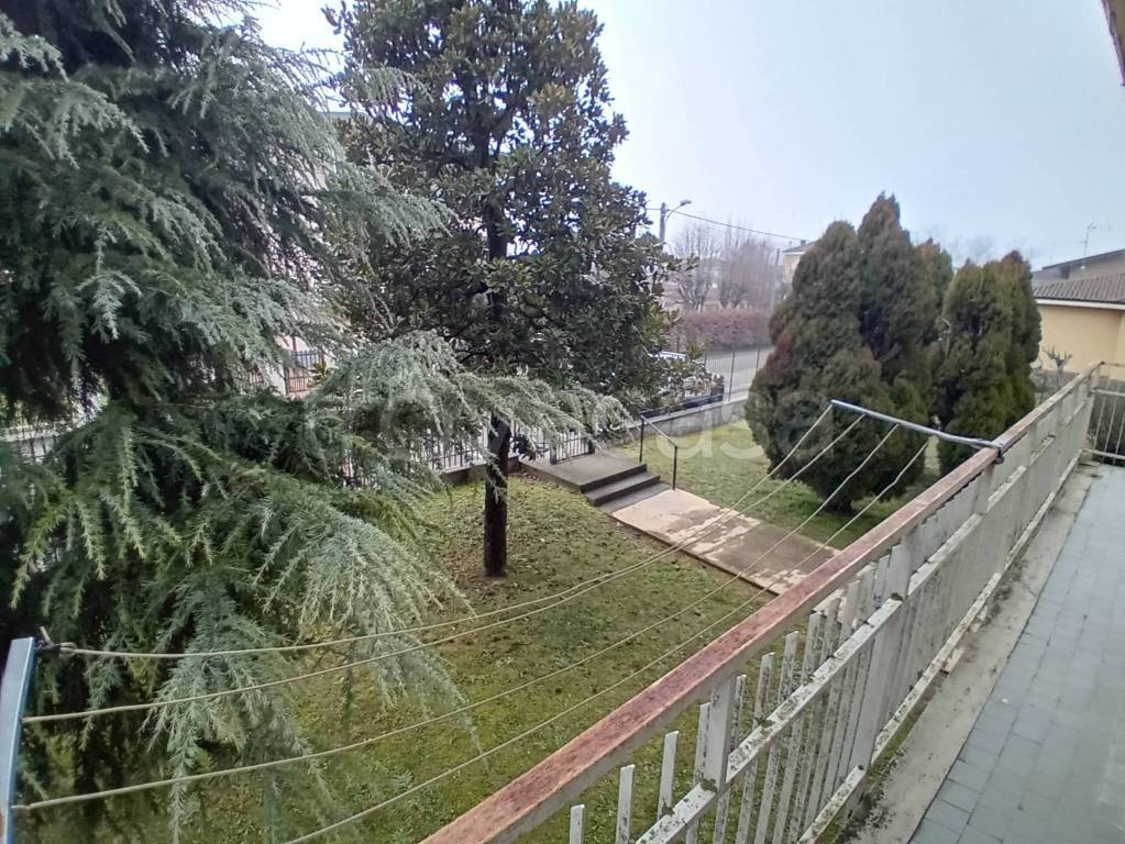 immagine annuncio 10 di 14