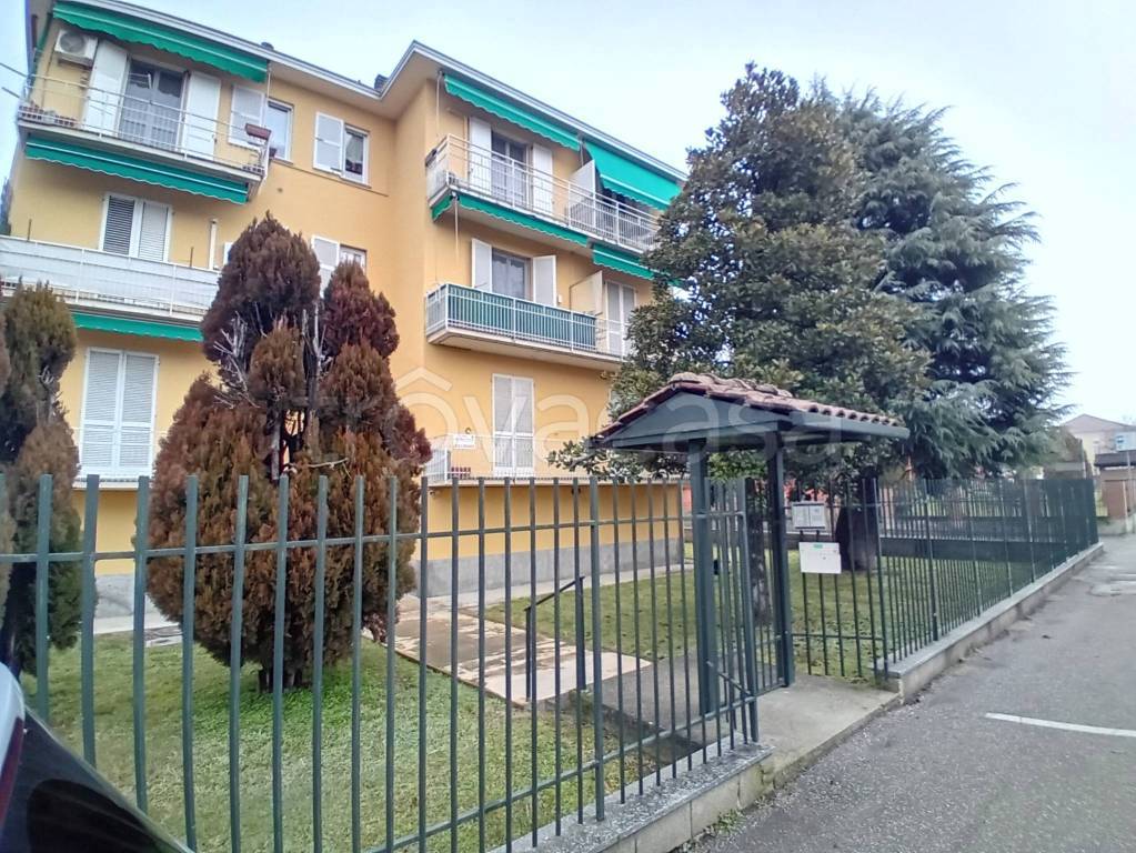 immagine annuncio 2 di 14