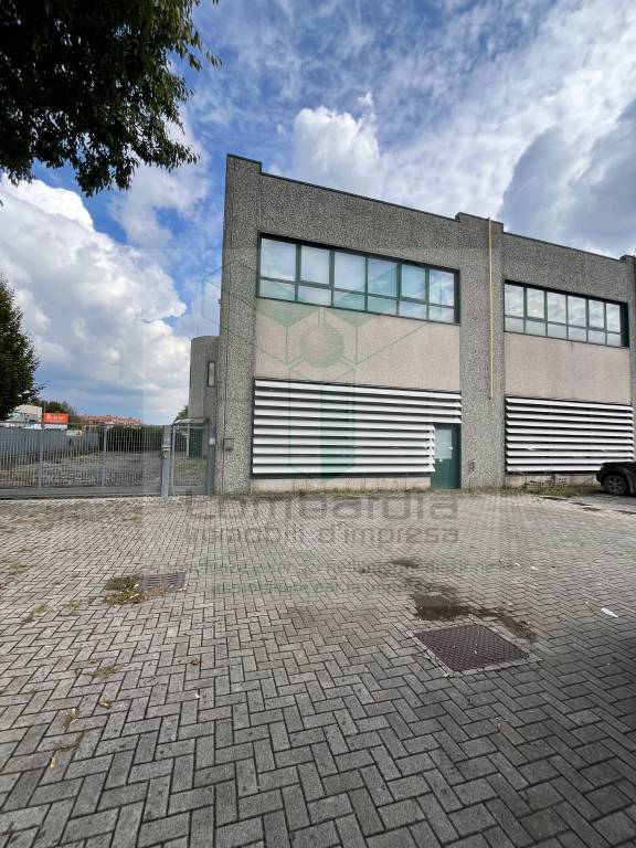 immagine annuncio 14 di 15