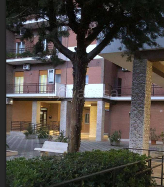 immagine annuncio 4 di 12