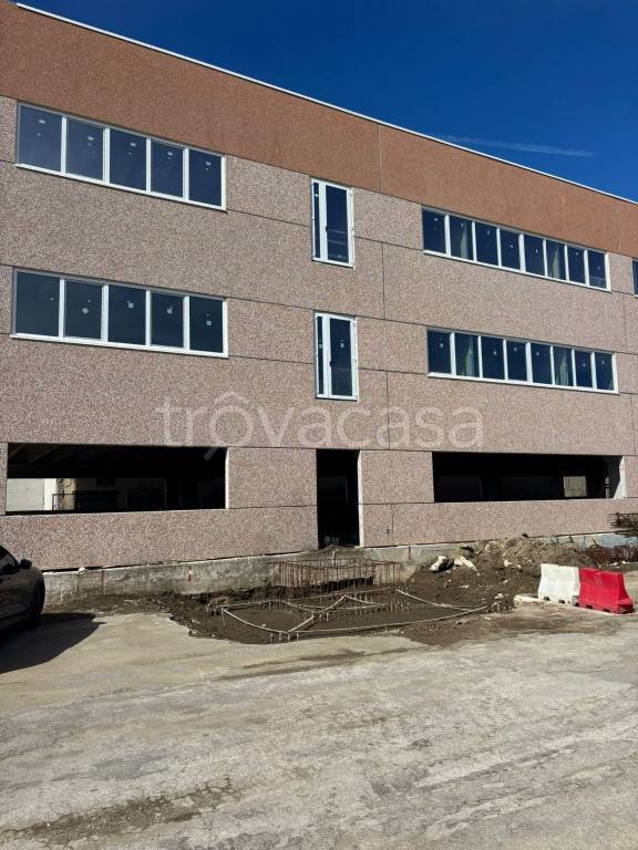 immagine annuncio 1 di 14