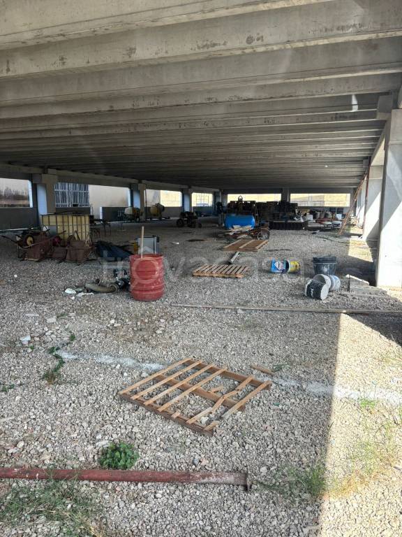 immagine annuncio 3 di 14