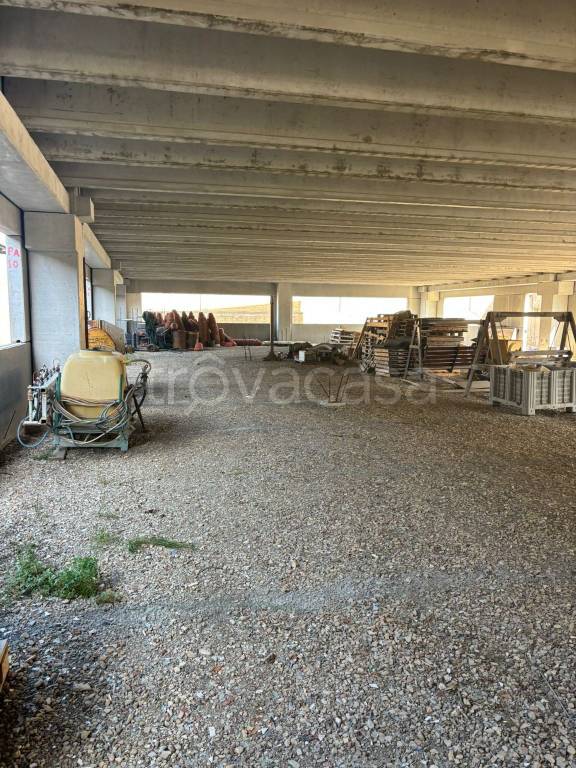 immagine annuncio 7 di 14