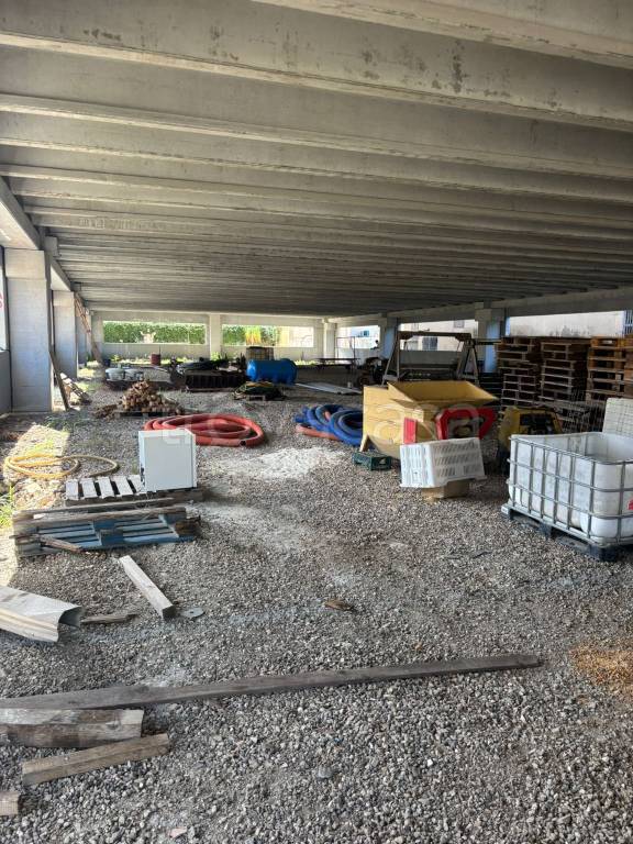 immagine annuncio 9 di 14