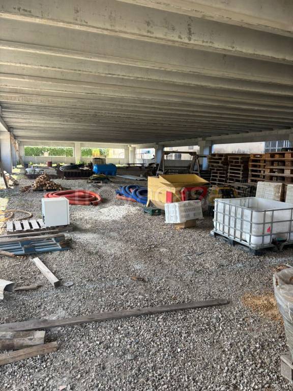 immagine annuncio 12 di 14