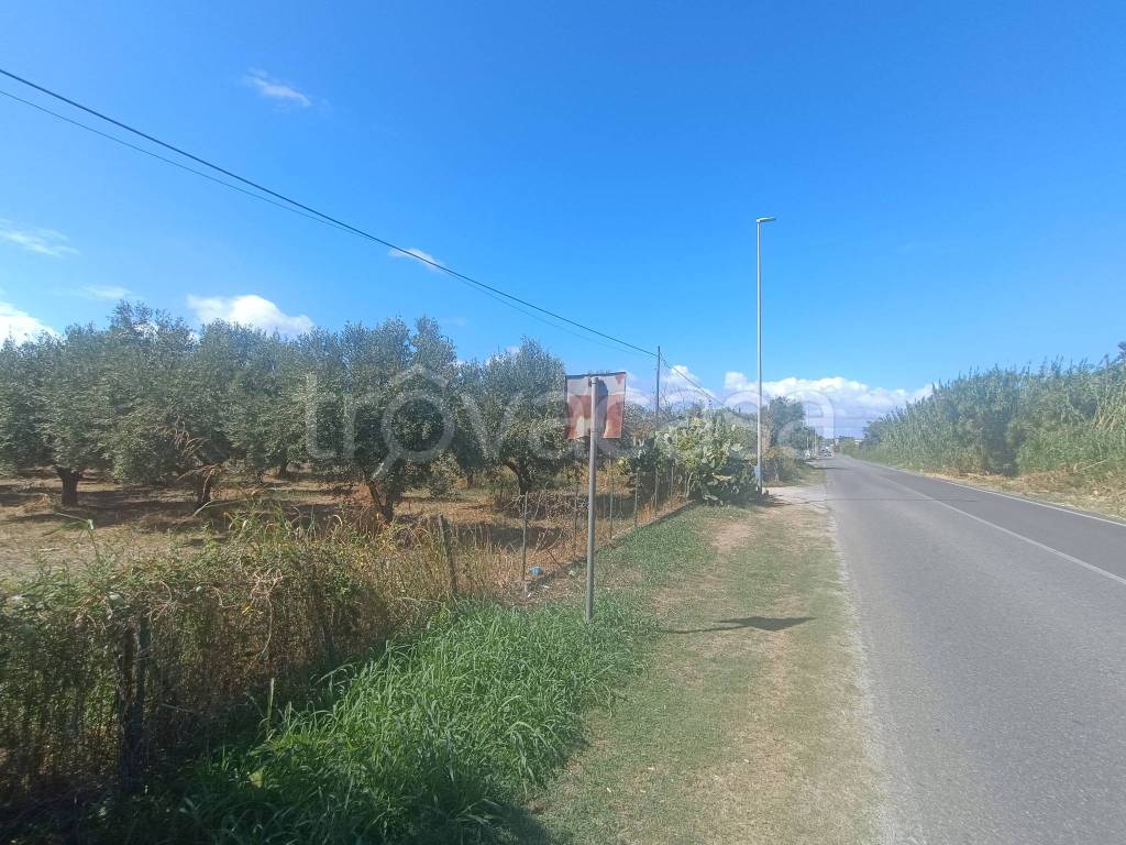 immagine annuncio 4 di 9