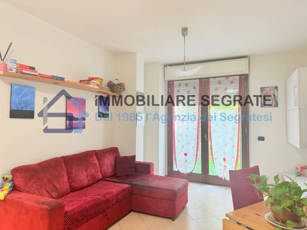 immagine annuncio 1 di 15
