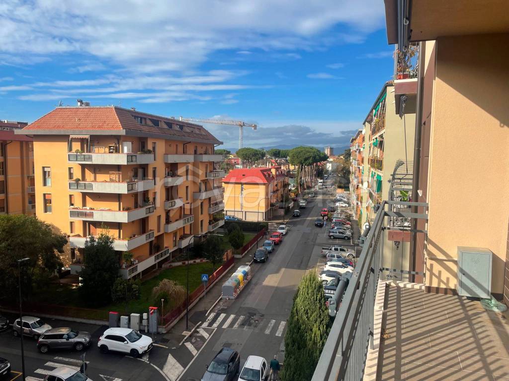 immagine annuncio 5 di 12