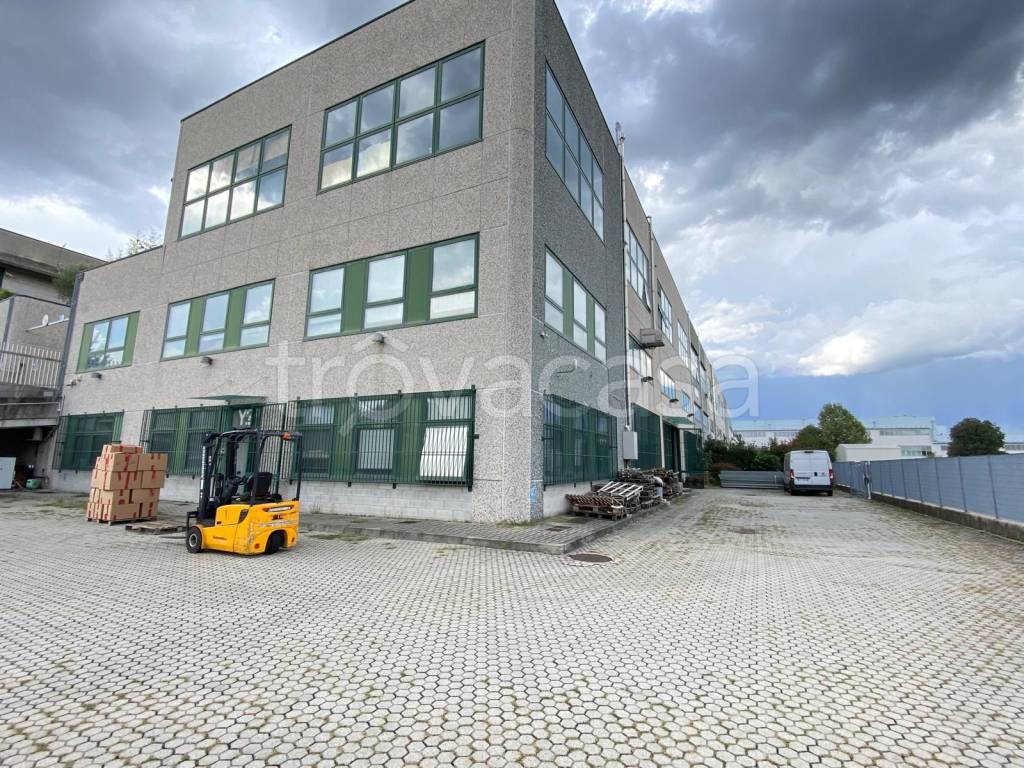 immagine annuncio 9 di 12