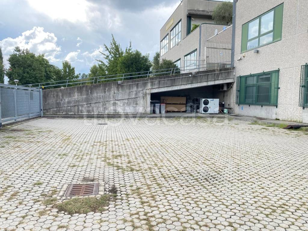 immagine annuncio 10 di 12