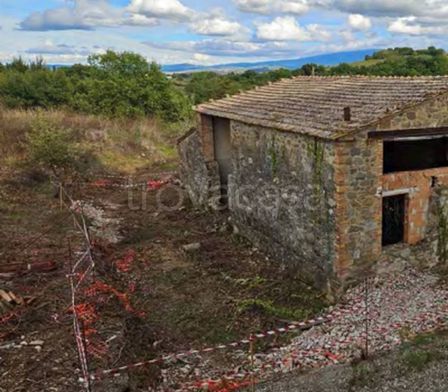 immagine annuncio 7 di 9