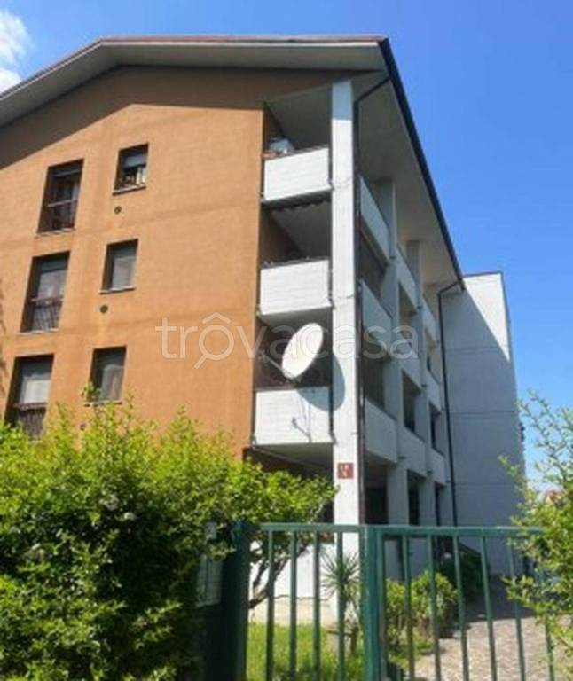 immagine annuncio 9 di 14