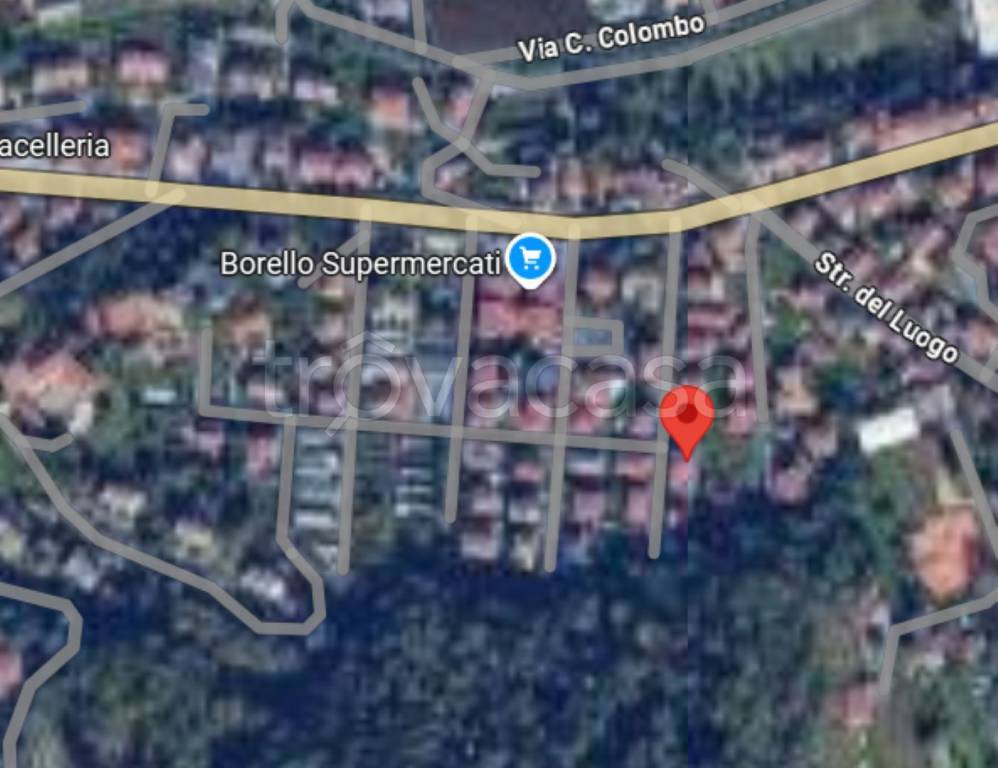 immagine annuncio 5 di 10