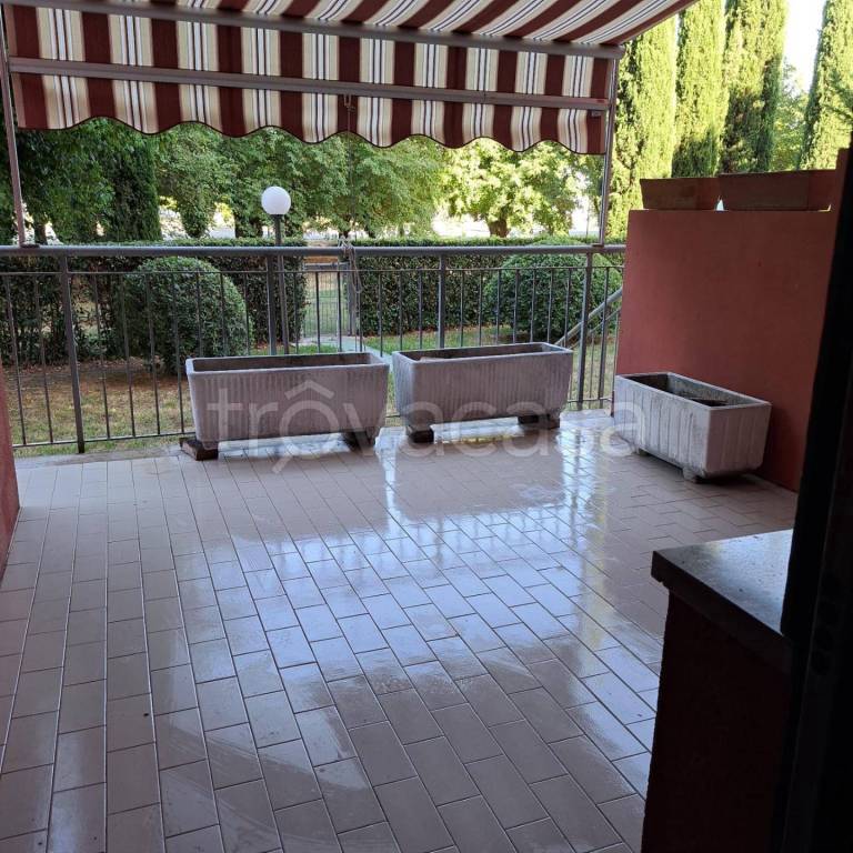 immagine annuncio 5 di 11