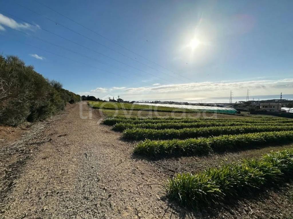 immagine annuncio 4 di 14