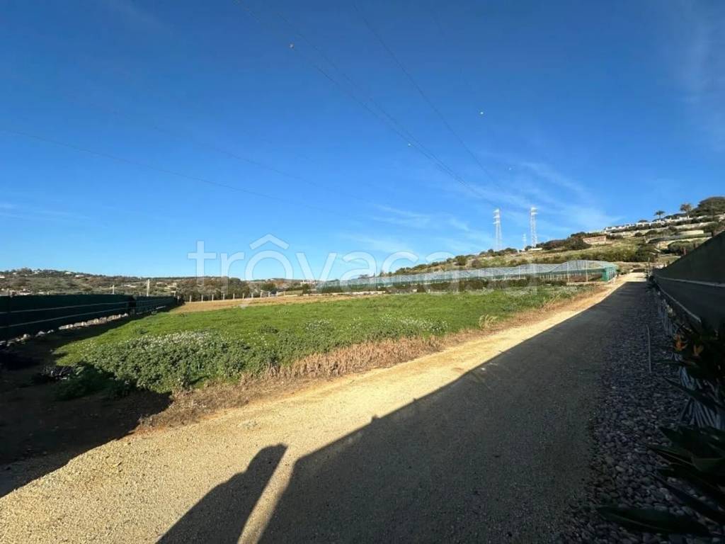 immagine annuncio 5 di 14