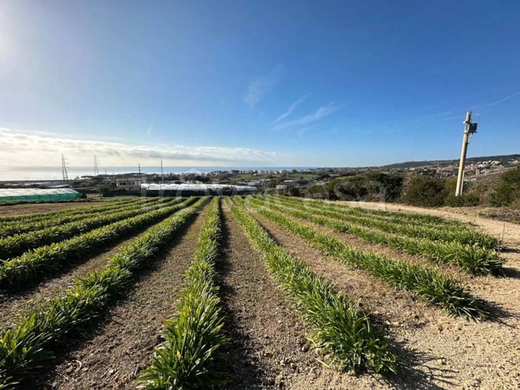 immagine annuncio 6 di 14