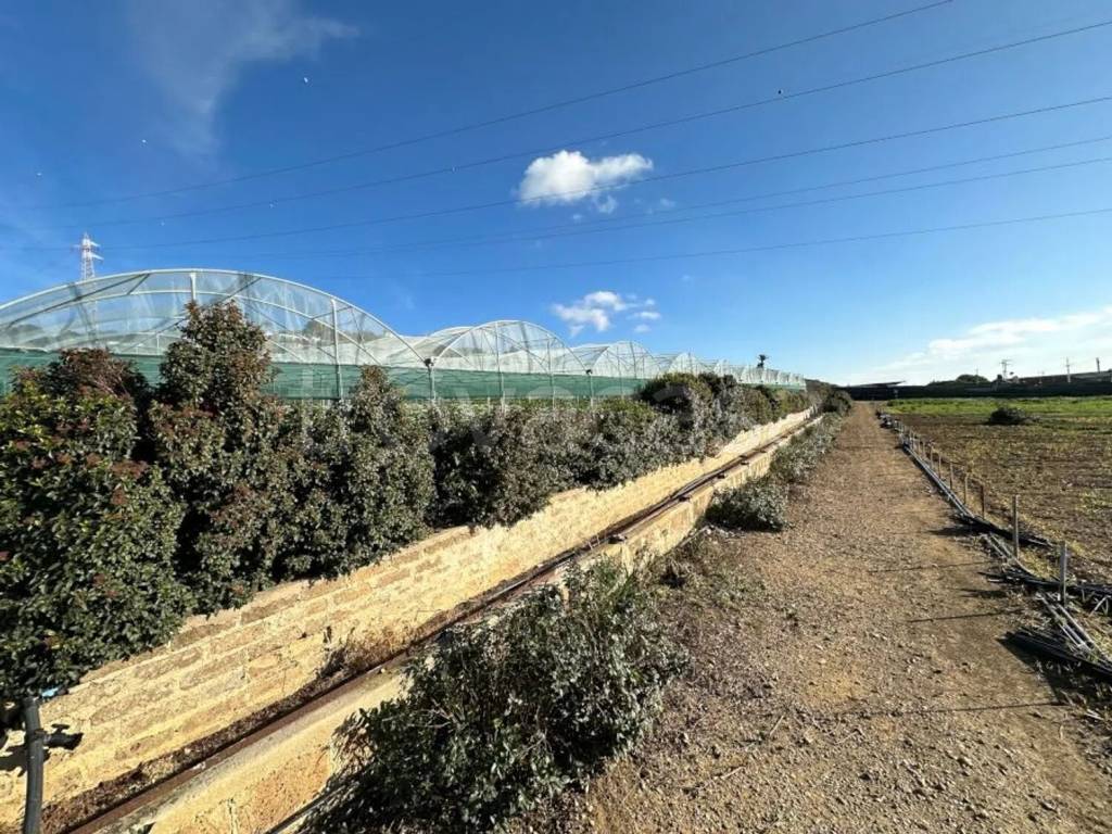 immagine annuncio 7 di 14