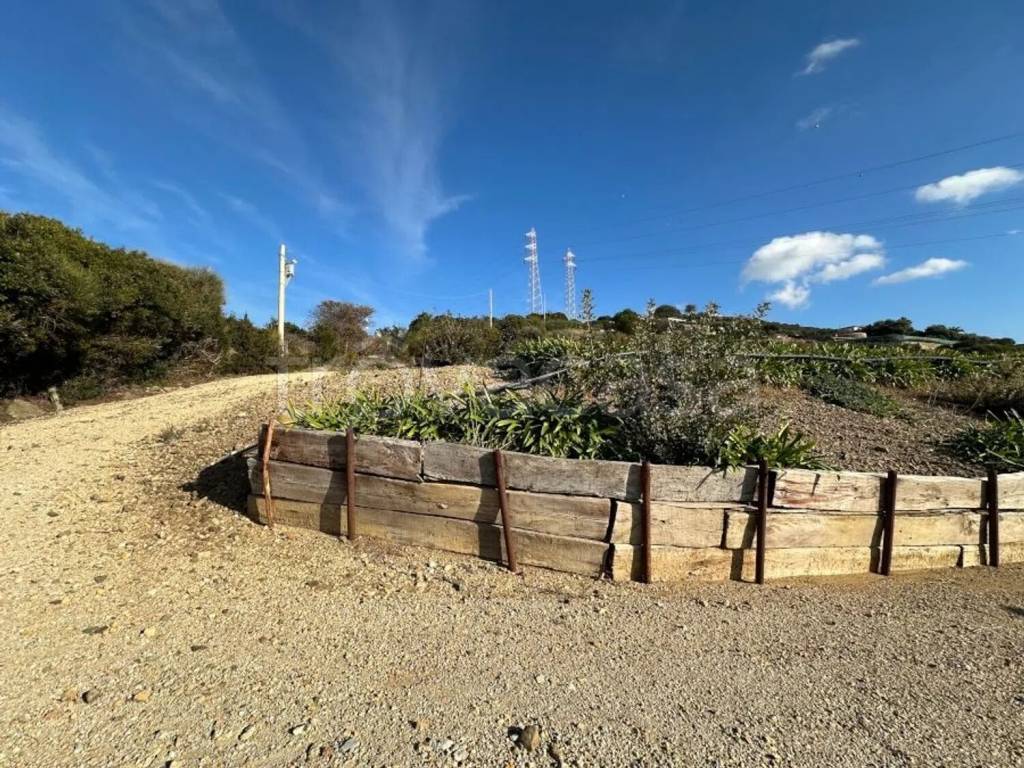 immagine annuncio 9 di 14