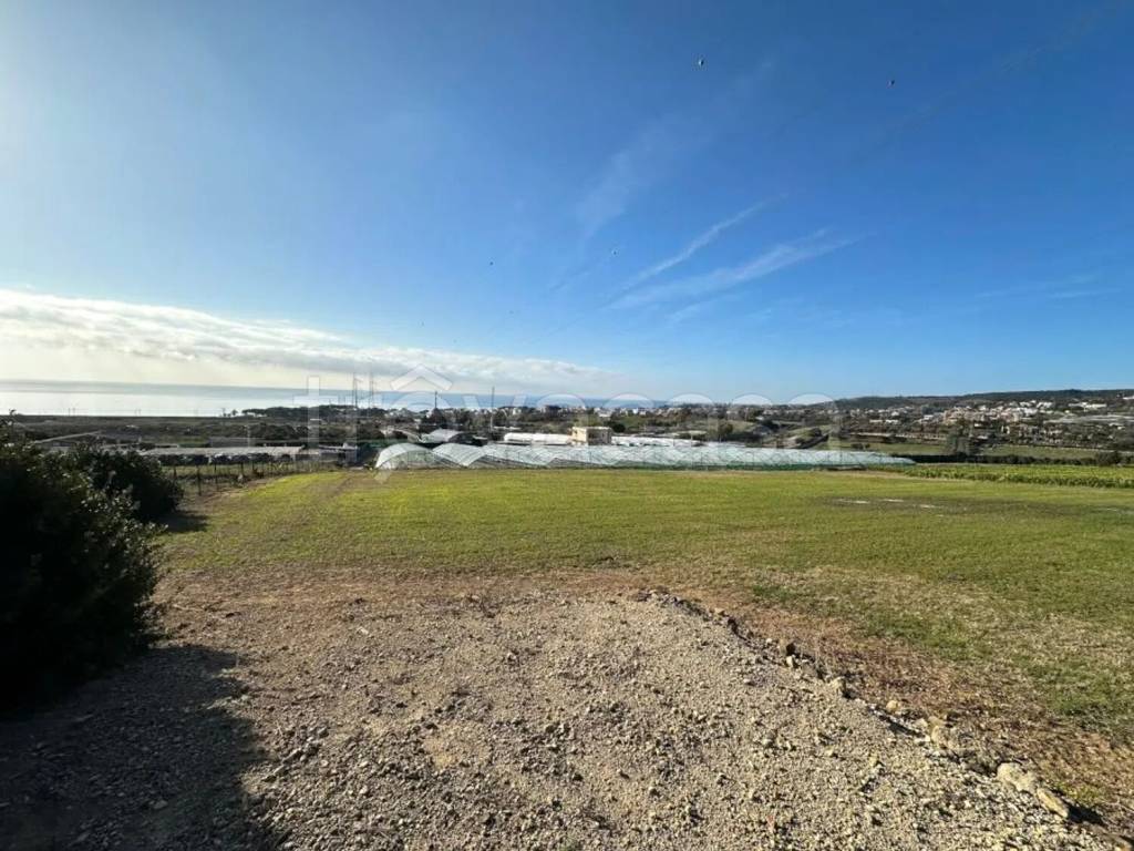 immagine annuncio 11 di 14