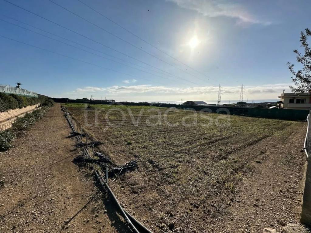 immagine annuncio 12 di 14