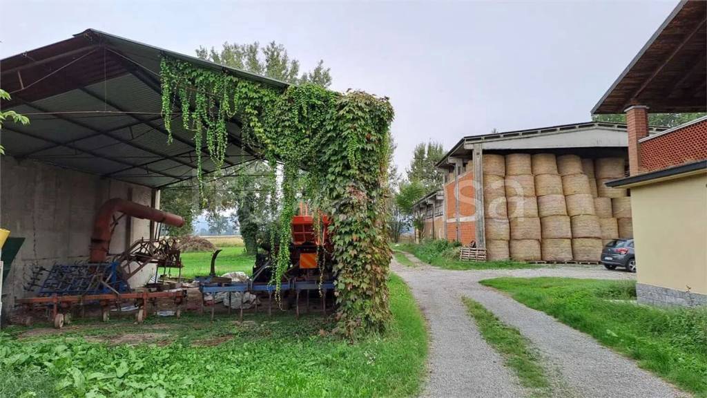 immagine annuncio 3 di 14