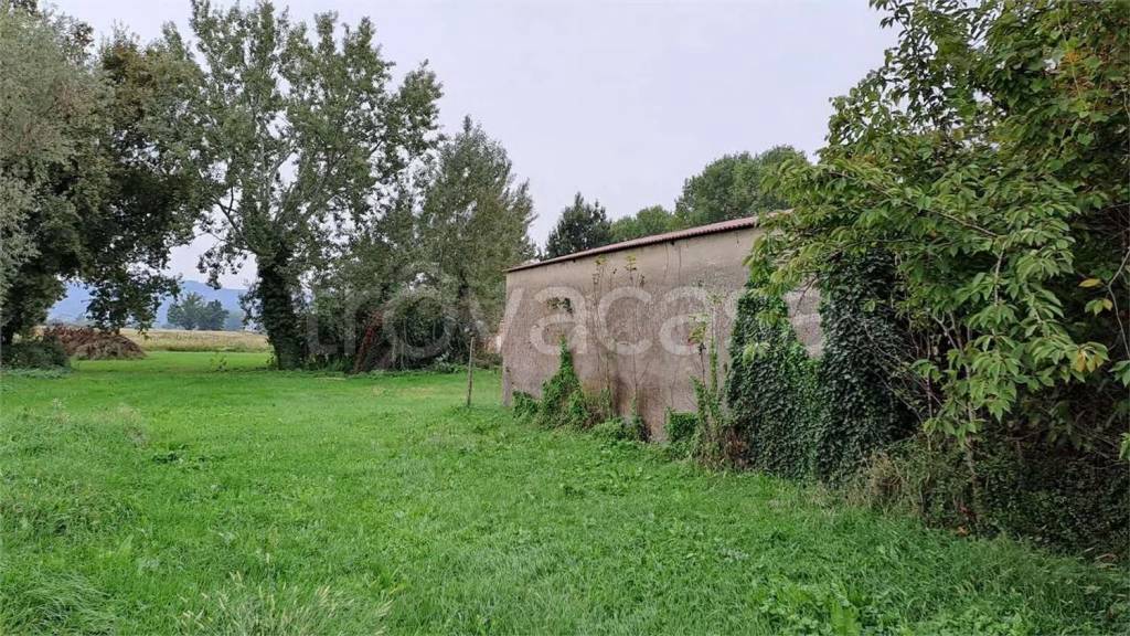 immagine annuncio 8 di 14