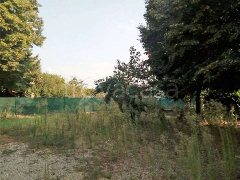 immagine annuncio 9 di 14