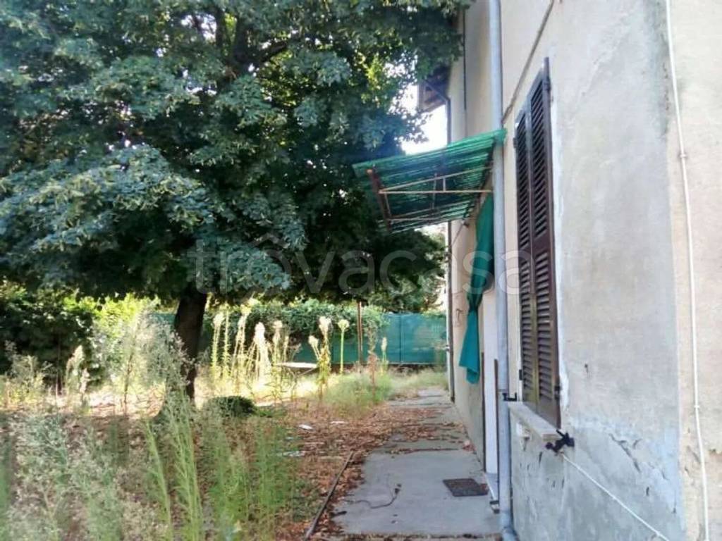 immagine annuncio 11 di 14