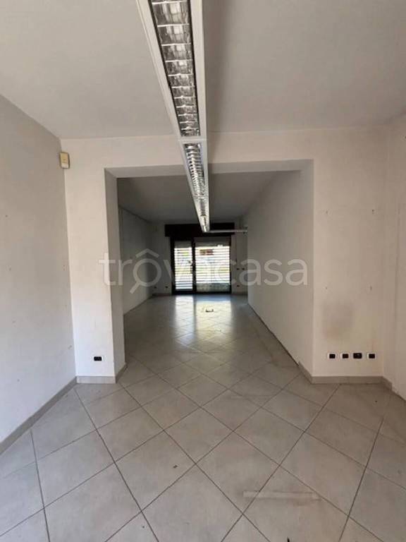 immagine annuncio 2 di 7