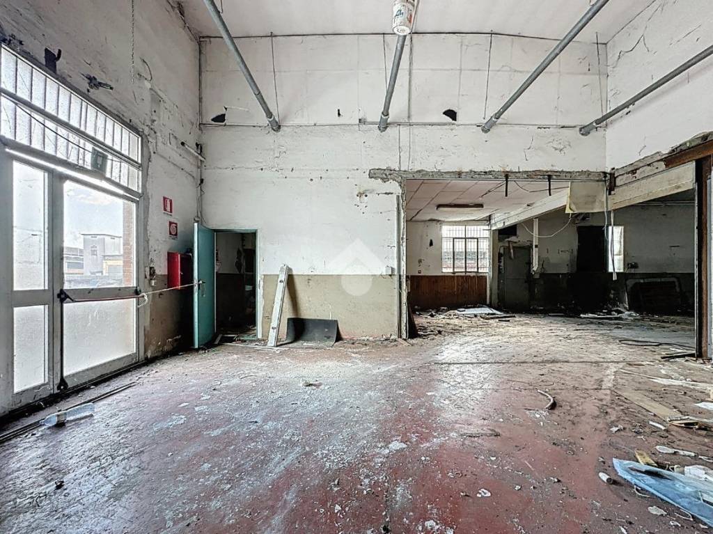 immagine annuncio 9 di 15