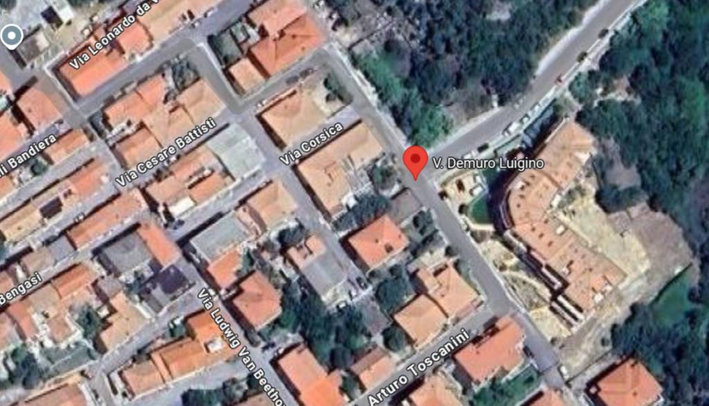 immagine annuncio 5 di 14