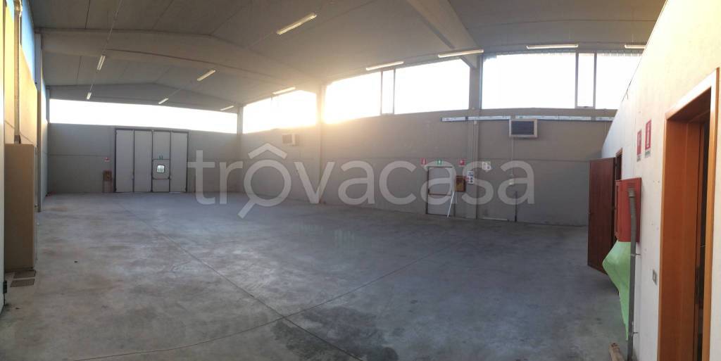 immagine annuncio 4 di 6