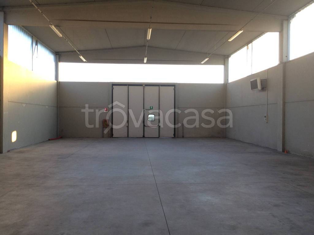 immagine annuncio 5 di 6