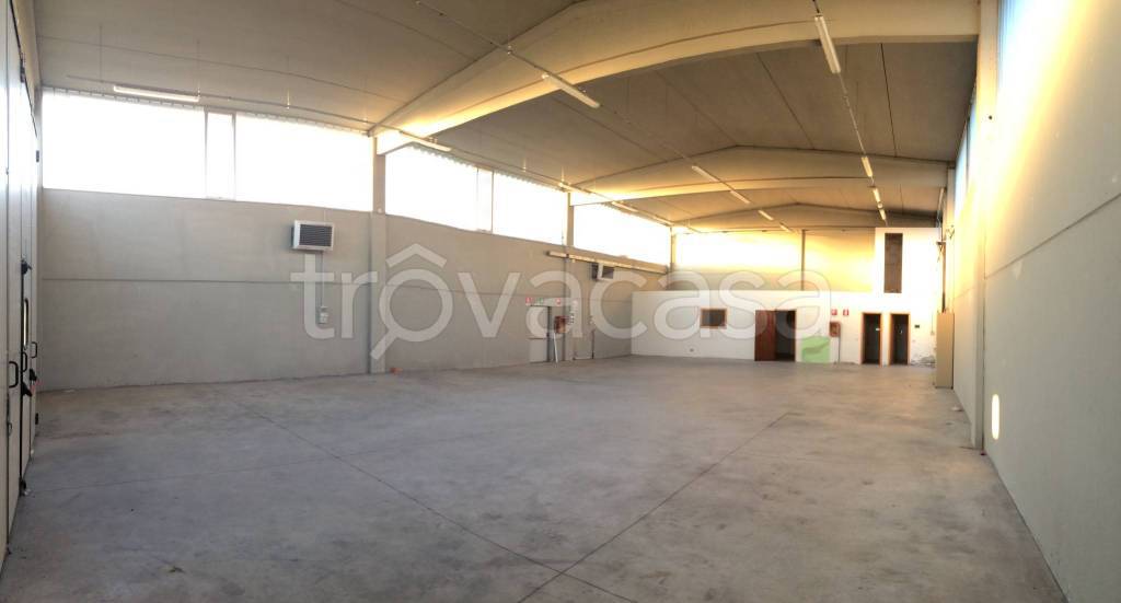 immagine annuncio 1 di 6