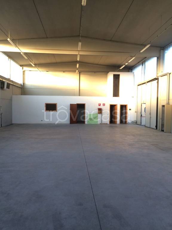 immagine annuncio 2 di 6