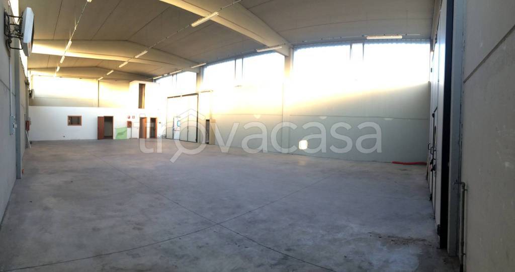 immagine annuncio 3 di 6