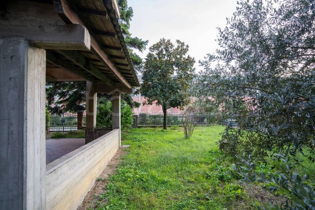 immagine annuncio 5 di 15