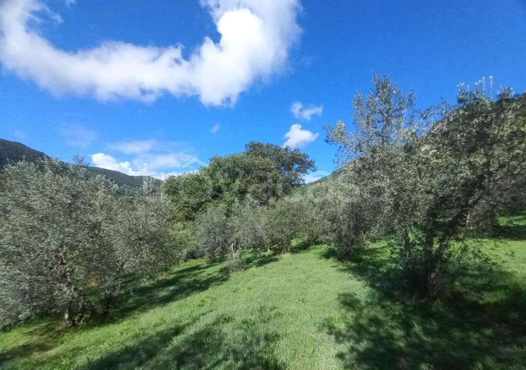 immagine annuncio 5 di 14