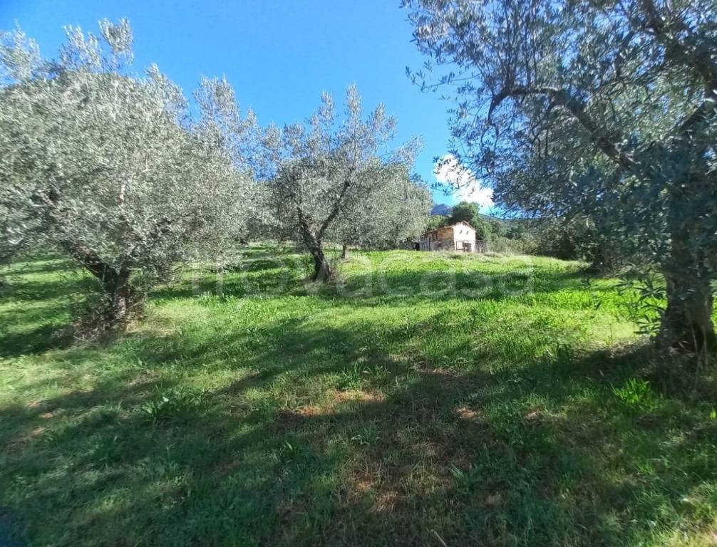 immagine annuncio 6 di 14