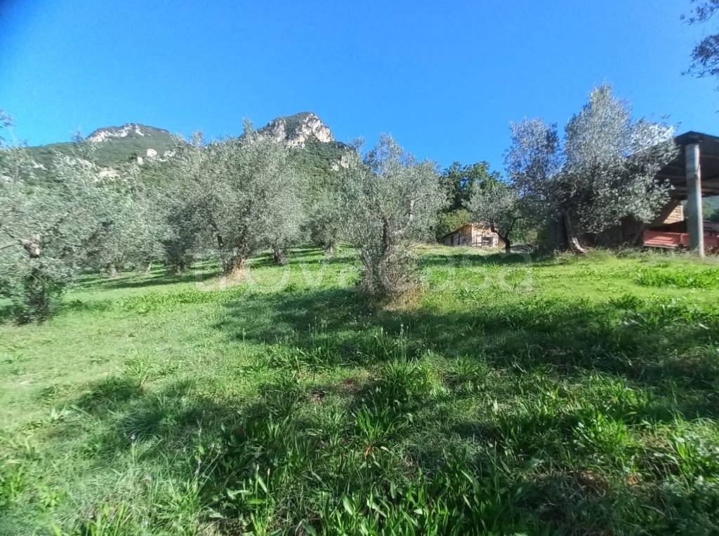 immagine annuncio 8 di 14