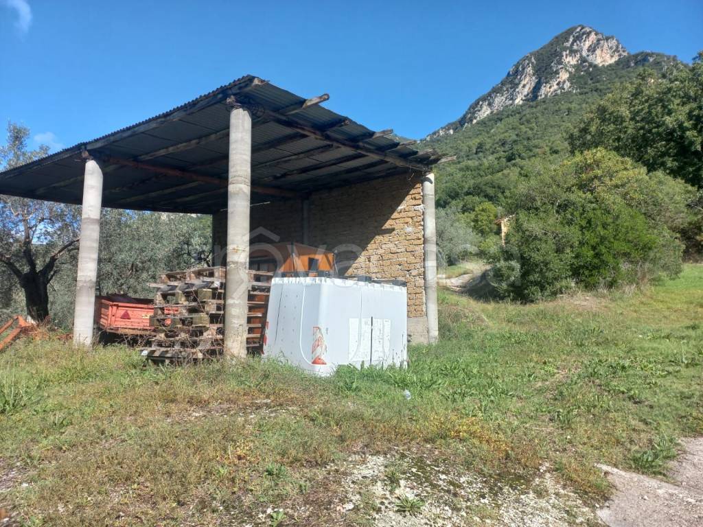 immagine annuncio 12 di 14
