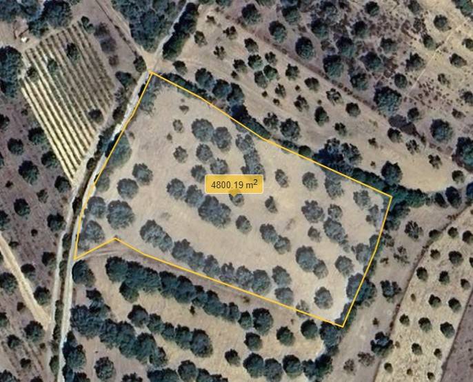 immagine annuncio 3 di 7