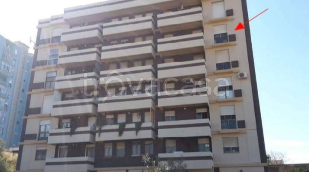 immagine annuncio 8 di 12