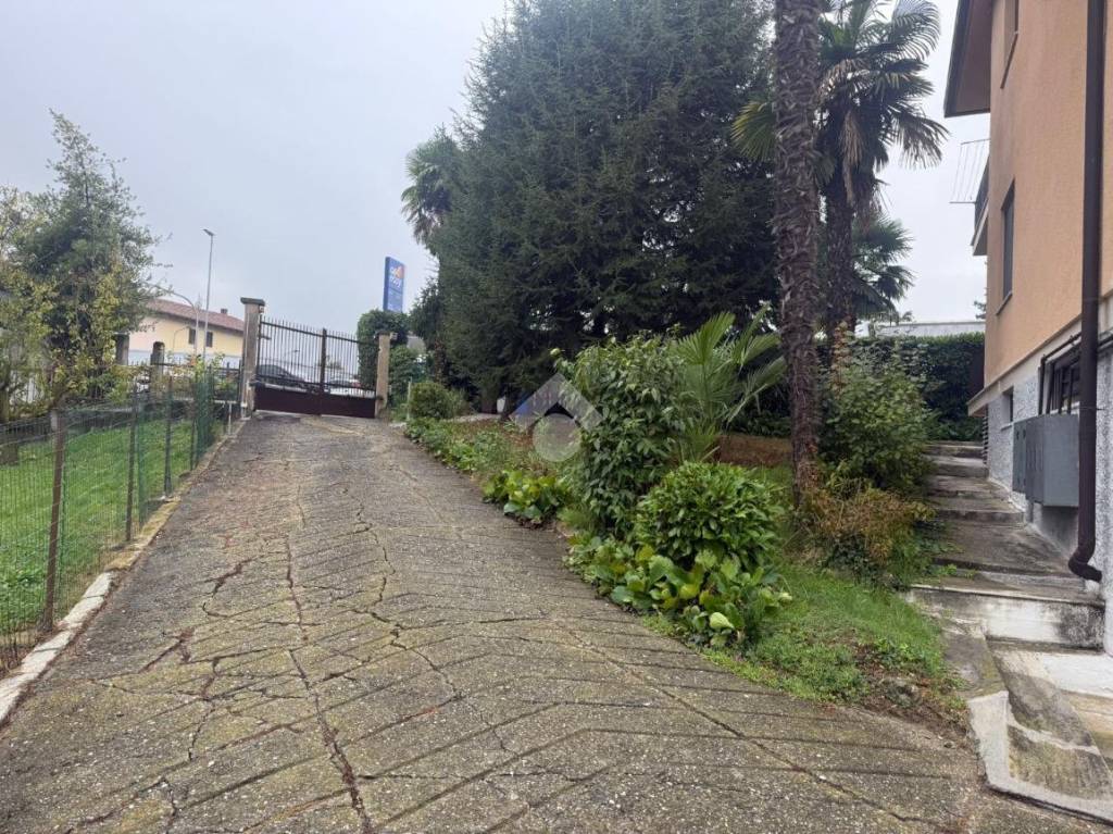 immagine annuncio 12 di 13