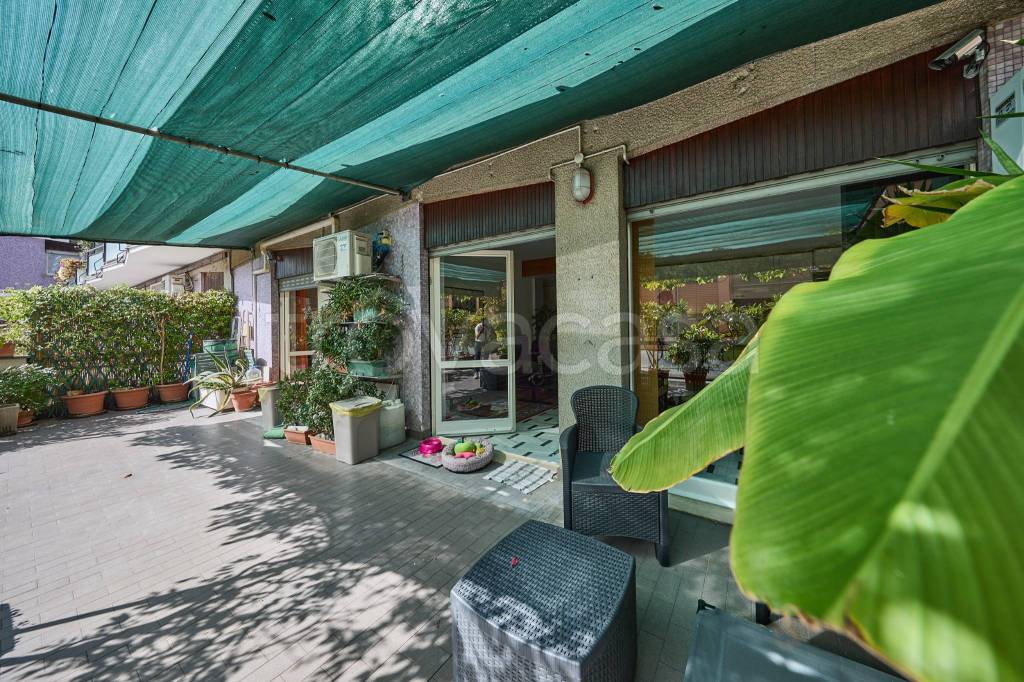 immagine annuncio 11 di 15